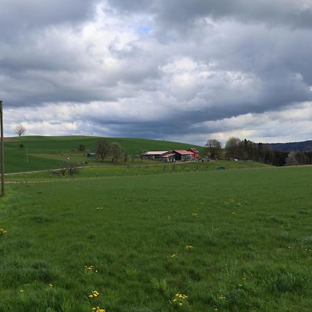 Ferienwohnung Hippenhof Hohenfels  Экстерьер фото