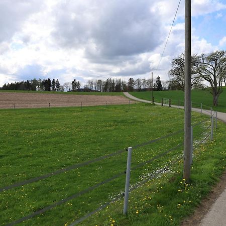 Ferienwohnung Hippenhof Hohenfels  Экстерьер фото