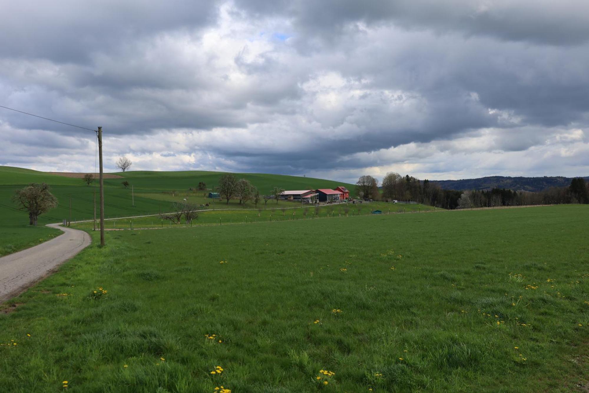 Ferienwohnung Hippenhof Hohenfels  Экстерьер фото